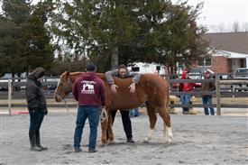 LR-2025-03-15 Retreat-0837